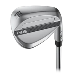 s259 WEDGE