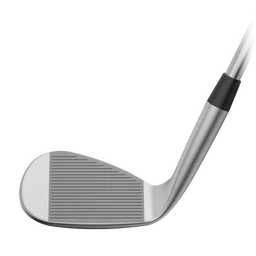 s259 WEDGE
