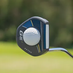 G Le3 FETCH PUTTER