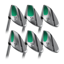 s259 WEDGE
