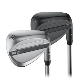 s259 WEDGE